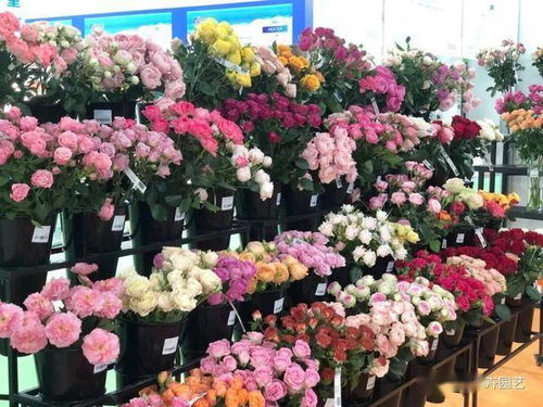全国花卉零售产销形势分析 2021全国花卉产销形势